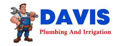 Trusted plumber in RAVENEL